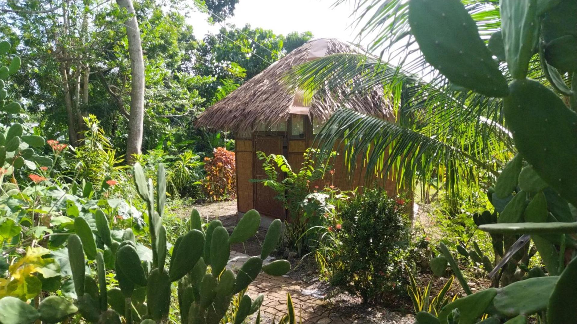 Little Nomads Eco-Guesthouse Siquijor Bilik gambar