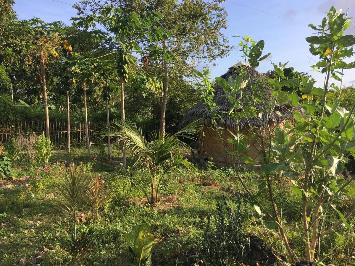 Little Nomads Eco-Guesthouse Siquijor Luaran gambar